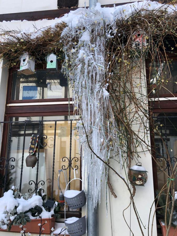 Ferienwohnung Am Mathildenbrunnen groß Quedlinburg Exterior foto